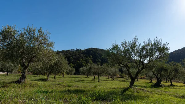 Molise Itália Panorama Espetacular Outono — Fotografia de Stock