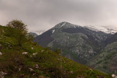 Matese Bölge Parkı. Campania 'nın korunan doğal bir bölgesidir. 1993 bölge yasası ile kurulmuş olup, 2002 yılında faaliyete geçmiştir..