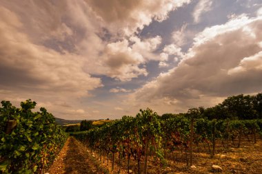 Bernardella, Ascoli Piceno, Marche. Marche tepelerinin harika manzarası.