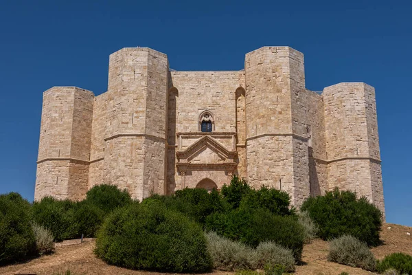 Andria Pouilles Castel Del Monte Castel Del Monte Est Une — Photo