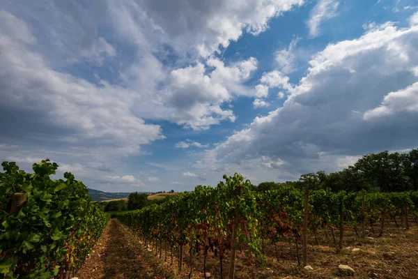 Bernardella Ascoli Piceno Marche Maravillosa Vista Las Colinas Marche —  Fotos de Stock