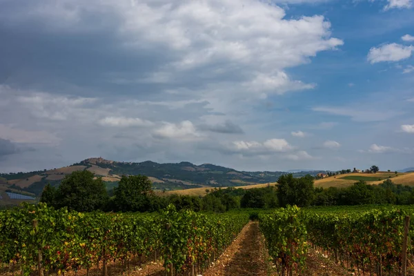 Bernardella Ascoli Piceno Marche Maravillosa Vista Las Colinas Marche —  Fotos de Stock