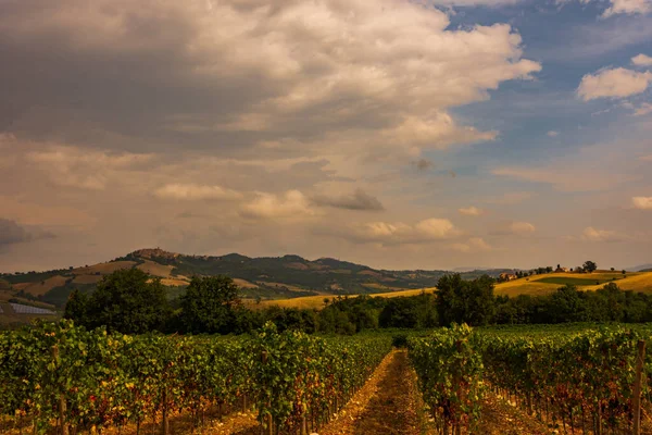 Bernardella Ascoli Piceno Marche Maravillosa Vista Las Colinas Marche — Foto de Stock