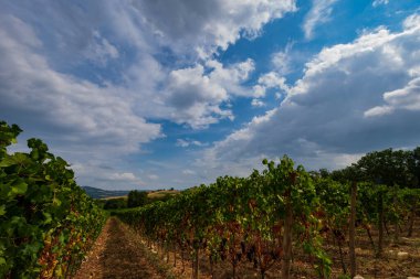 Bernardella, Ascoli Piceno, Marche. Marche tepelerinin harika manzarası.