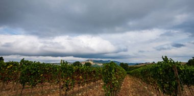 Bernardella, Ascoli Piceno, Marche. Marche tepelerinin harika manzarası.