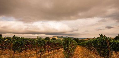 Bernardella, Ascoli Piceno, Marche. Marche tepelerinin harika manzarası.