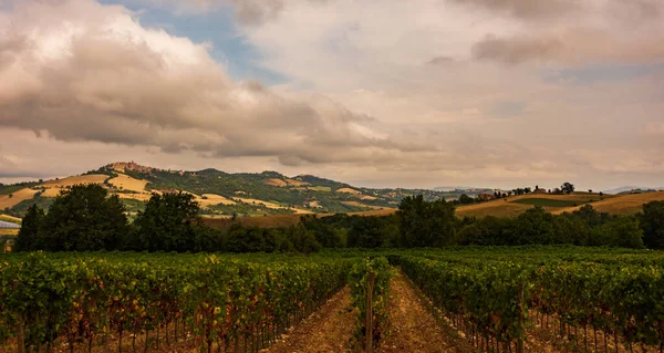 Bernardella Ascoli Piceno Marche Maravillosa Vista Las Colinas Marche —  Fotos de Stock