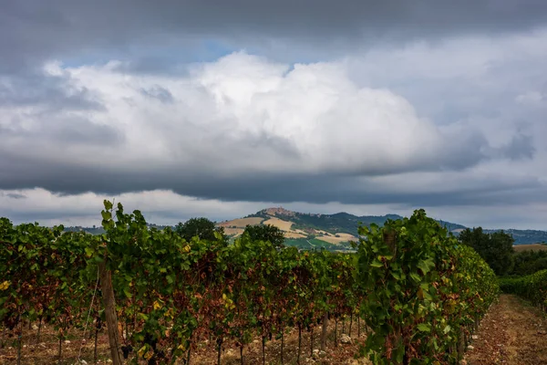 Bernardella Ascoli Piceno Marche Maravillosa Vista Las Colinas Marche — Foto de Stock