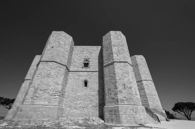 Andria, Puglia, Castel del Monte. Castel del Monte, Kutsal Roma İmparatoru 2. Frederick tarafından Puglia 'nın batısındaki Murge platosunda inşa edilen 13. yüzyıldan kalma bir kaledir..