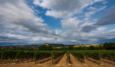 Bernardella, Ascoli Piceno, Marche. Marche tepelerinin harika manzarası.