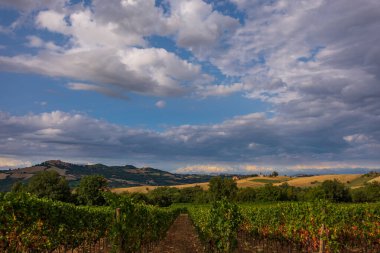 Bernardella, Ascoli Piceno, Marche. Marche tepelerinin harika manzarası.