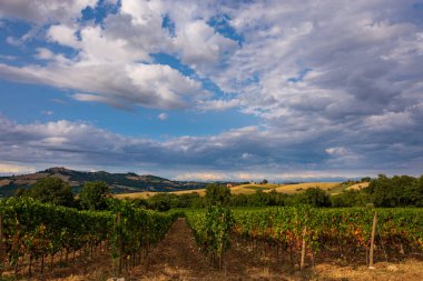Bernardella, Ascoli Piceno, Marche. Marche tepelerinin harika manzarası.