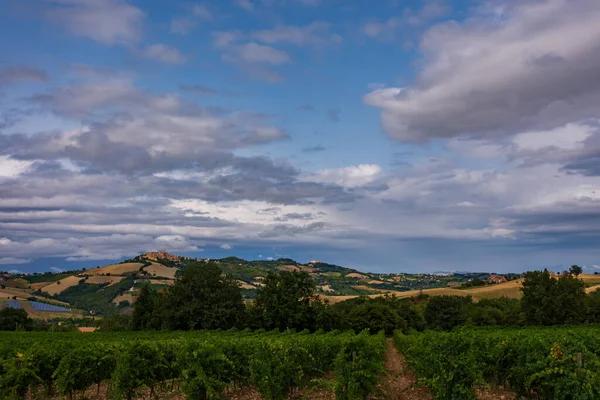 Bernardella Ascoli Piceno Marche Maravillosa Vista Las Colinas Marche —  Fotos de Stock