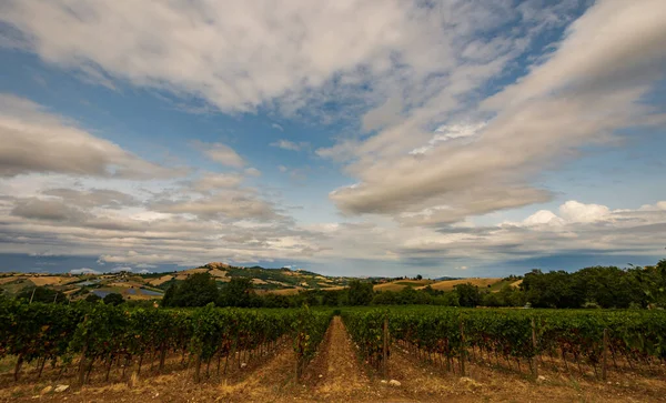 Bernardella Ascoli Piceno Marche Maravillosa Vista Las Colinas Marche — Foto de Stock