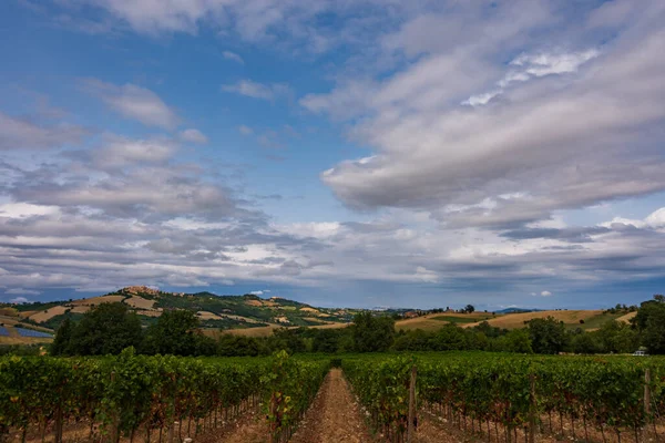 Bernardella Ascoli Piceno Marche Maravillosa Vista Las Colinas Marche —  Fotos de Stock