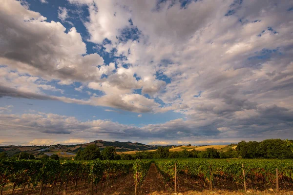 Bernardella Ascoli Piceno Marche Maravillosa Vista Las Colinas Marche — Foto de Stock