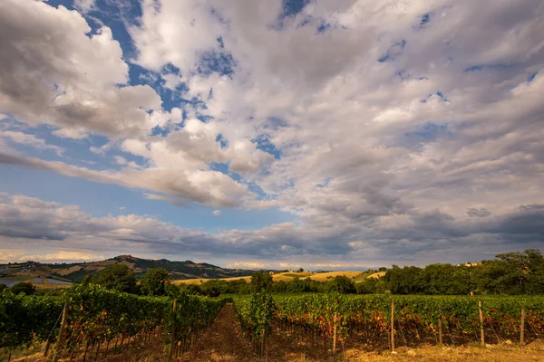 Bernardella Ascoli Piceno Marche Maravillosa Vista Las Colinas Marche — Foto de Stock