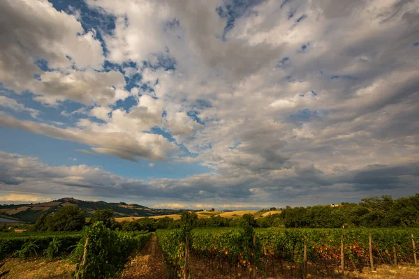 Bernardella Ascoli Piceno Marche Maravillosa Vista Las Colinas Marche —  Fotos de Stock