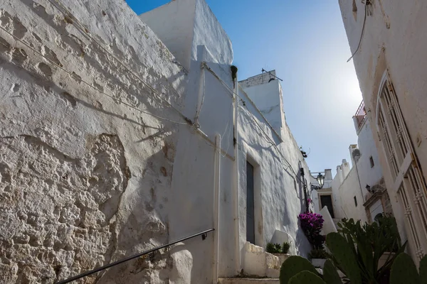 Ostuni. Puglia 'nın Brindisi iline bağlı 30 963 nüfuslu İtalyan belediyesi. Geçmişte tamamen beyaza boyanmış olan tarihi merkeziyle Beyaz Şehir olarak da bilinir..