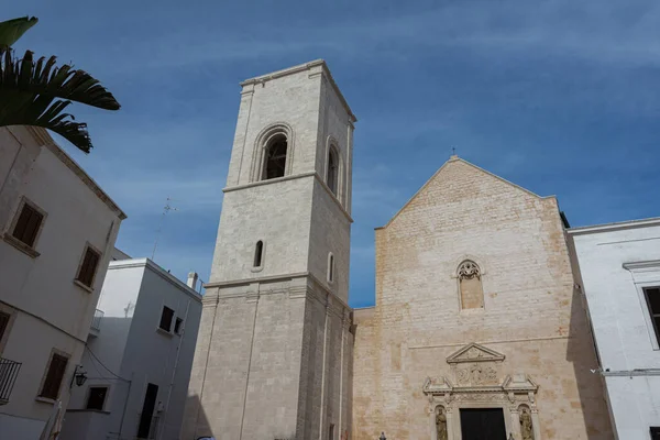 Polignano Mare Mother Church Maria Assunta Rises Piazza Emanuele Sober — Stock Photo, Image