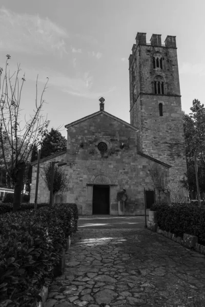 Roccavivara Heiligdom Van Maria Canneto Omringd Door Pijnbomen Een Gebied — Stockfoto