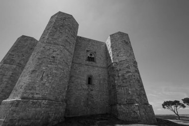 Andria, Puglia, Castel del Monte. Castel del Monte, Kutsal Roma İmparatoru 2. Frederick tarafından Puglia 'nın batısındaki Murge platosunda inşa edilen 13. yüzyıldan kalma bir kaledir..