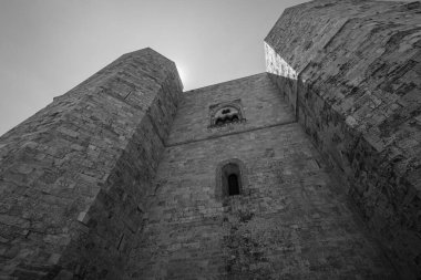 Andria, Puglia, Castel del Monte. Castel del Monte, Kutsal Roma İmparatoru 2. Frederick tarafından Puglia 'nın batısındaki Murge platosunda inşa edilen 13. yüzyıldan kalma bir kaledir..