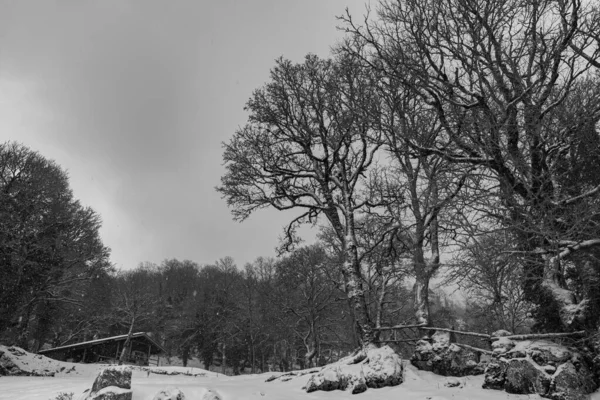 Molise Italia Espectacular Panorama Invernal — Foto de Stock