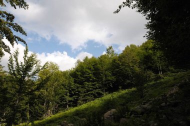 Appennino Tosco-Emiliano. Panorama