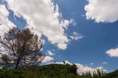 Campania Felix, İtalya. Güney İtalya 'nın en güzel yerlerinden birinin muhteşem manzarası. Adı da antik Romalılar olan Campania Felix..