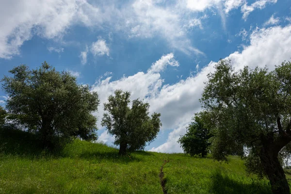 Campania Felix, İtalya. Güney İtalya 'nın en güzel yerlerinden birinin muhteşem manzarası. Adı da antik Romalılar olan Campania Felix..