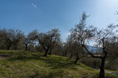 Molise, İtalya. Muhteşem yay manzarası.