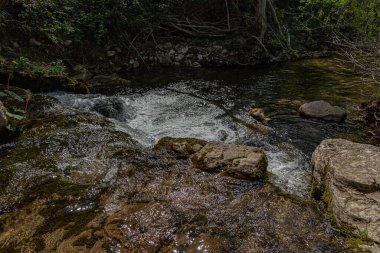 Rio Verde Nehri, Abruzzo ve Molise arasında yer alan Quarto 'dan doğar ve kısa bir yoldan sonra Sangro' ya katılır (400 metre)..