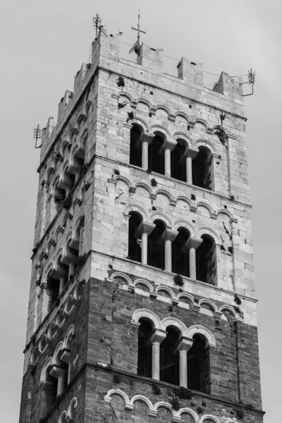 Kathedraal Van San Martino Belangrijkste Katholieke Kerk Van Lucca Volgens — Stockfoto