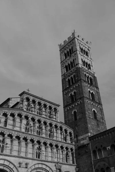 Kathedraal Van San Martino Belangrijkste Katholieke Kerk Van Lucca Volgens — Stockfoto