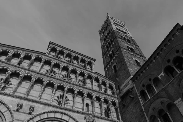 San Martino Katedrali Lucca Şehrinin Ana Katolik Ibadethanesidir Geleneğe Göre — Stok fotoğraf