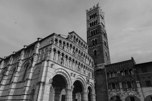 Katedrála San Martino Hlavním Katolickým Místem Uctívání Městě Lucca Podle — Stock fotografie