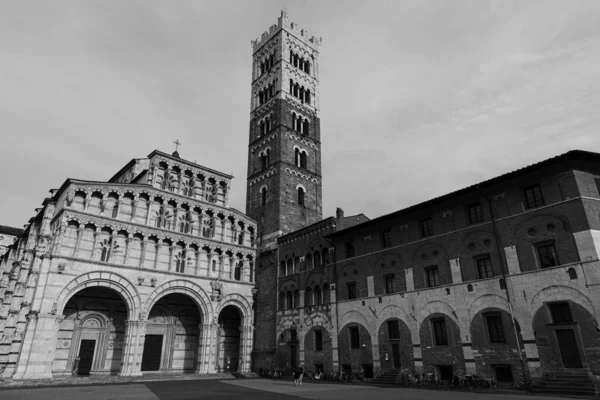 Katedrála San Martino Hlavním Katolickým Místem Uctívání Městě Lucca Podle — Stock fotografie