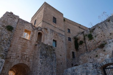 Santa Maria di Pulsano manastırı Gargano 'da bulunan bir manastır kompleksidir. 8 Eylül, Madonna di Pulsano bayramı: Monte Sant 'Angelo' lu inananlar katırlarla manastıra ulaştı.