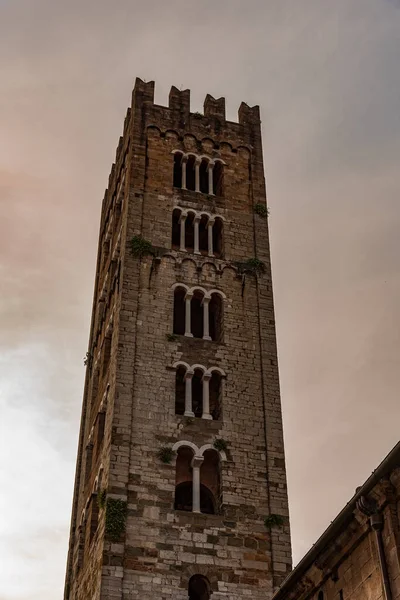 Basiliek Van San Frediano Een Van Oudste Katholieke Plaatsen Van — Stockfoto