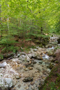 La Camosciara, deneyimli yürüyüşçüler ve yeni başlayanlar, müstehcen manzaralar ve vahşi yaşam için geniş bir doğa koruma alanıdır. Abruzzo, Lazio ve Molise Milli Parkı 'nın ayrılmaz bir parçasıdır.