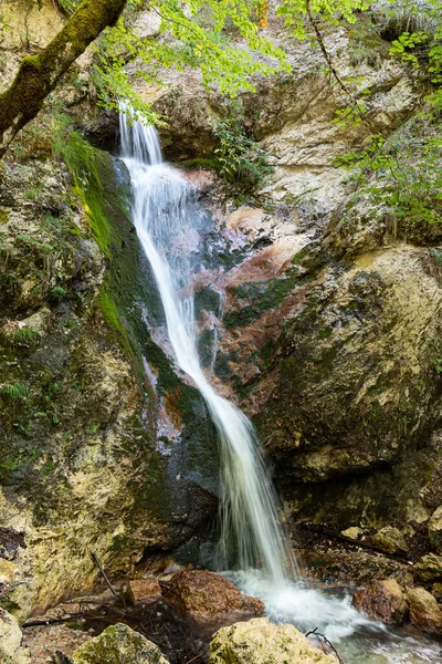 Camosciara Extensive Nature Reserve Trails Experienced Hikers Beginners Suggestive Views — Stock Photo, Image