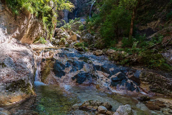 Camosciaraは 経験豊富なハイカーや初心者のためのトレイル 示唆的な景色や野生動物を備えた広範な自然保護区です アブルッツォ ラツィオ モリス国立公園の不可欠な部分です — ストック写真
