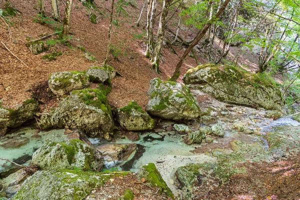 Camosciara Обширный Природный Заповедник Тропами Опытных Туристов Попрошаек Прекрасными Видами — стоковое фото