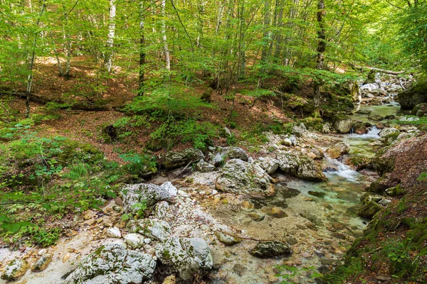 Camosciara Kiterjedt Természetvédelmi Terület Tapasztalt Túrázók Kezdők Számára Szuggesztív Kilátással — Stock Fotó