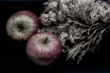 A composition of a typically autumnal fruit, such as the Annurca apples from Campania, which enhances its beauty and details.