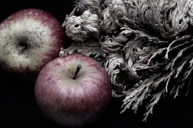 A composition of a typically autumnal fruit, such as the Annurca apples from Campania, which enhances its beauty and details.