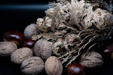 A composition of typically autumnal fruits such as chestnuts and walnuts, enhancing their beauty and detail.
