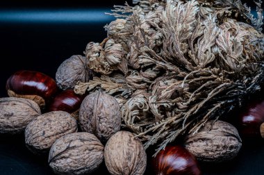 A composition of typically autumnal fruits such as chestnuts and walnuts, enhancing their beauty and detail.