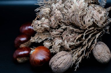 A composition of typically autumnal fruits such as chestnuts and walnuts, enhancing their beauty and detail.